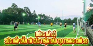 Bóng Đá Cỏ
