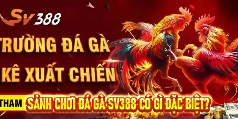 đá gà SV388